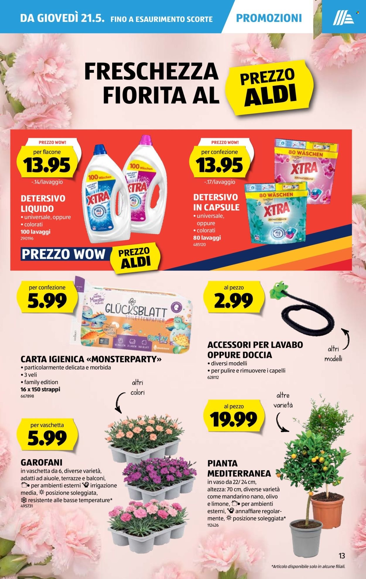 ALDI Prospekt - Vom 21.5.2026 (2026-05-21 - 2026-05-27) | 13