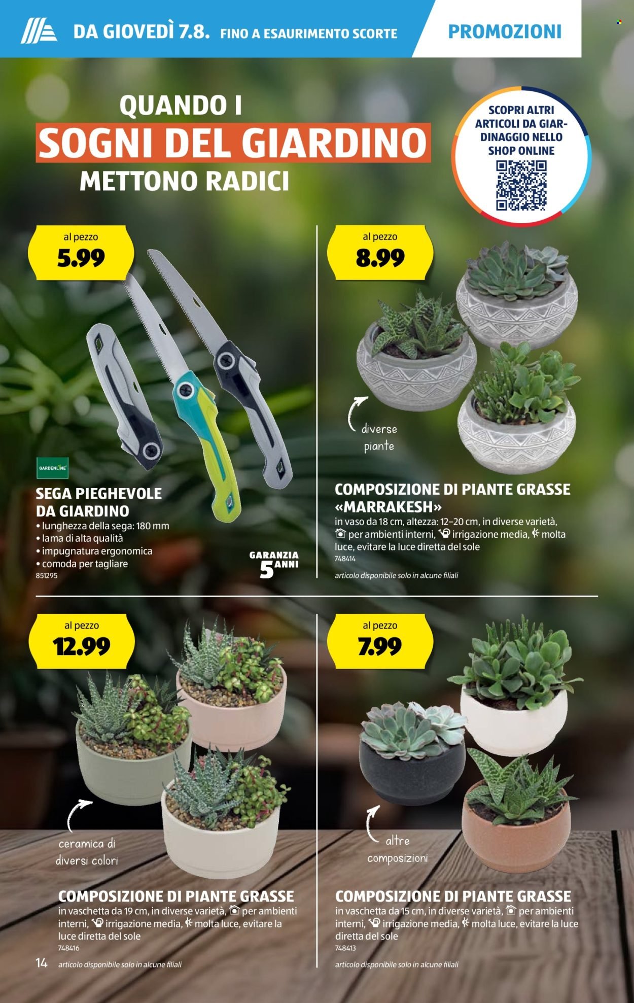 ALDI Prospekt - Vom 7.8.2025 (2025-08-07 - 2025-08-13)
