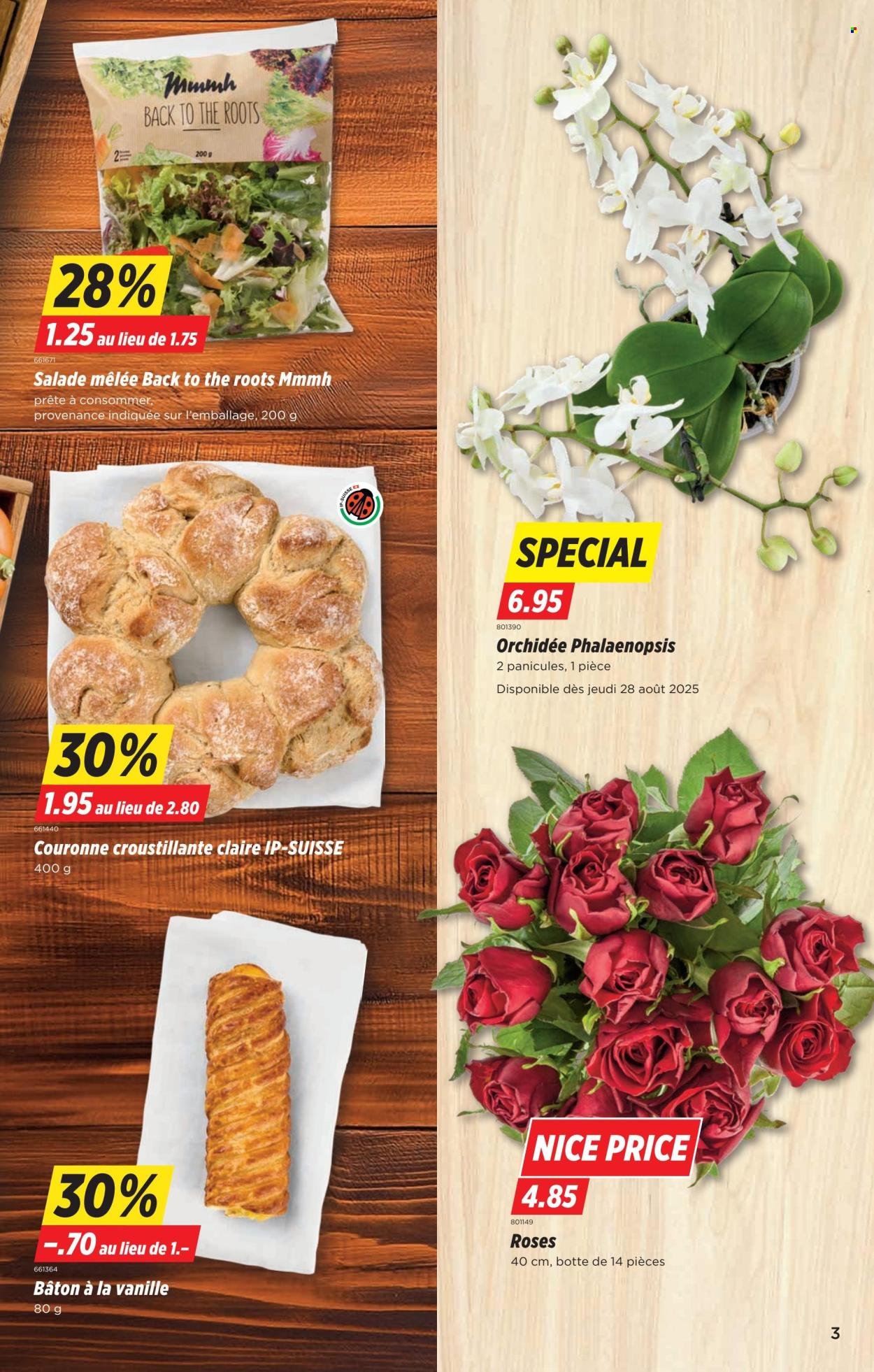 DENNER Prospekt - SETT 35 (2025-08-26 - 2025-09-01)