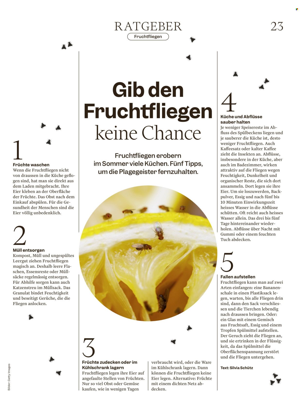 MIGROS Prospekt - Vom 19.8.2025 (2025-08-19 - 2025-08-25)