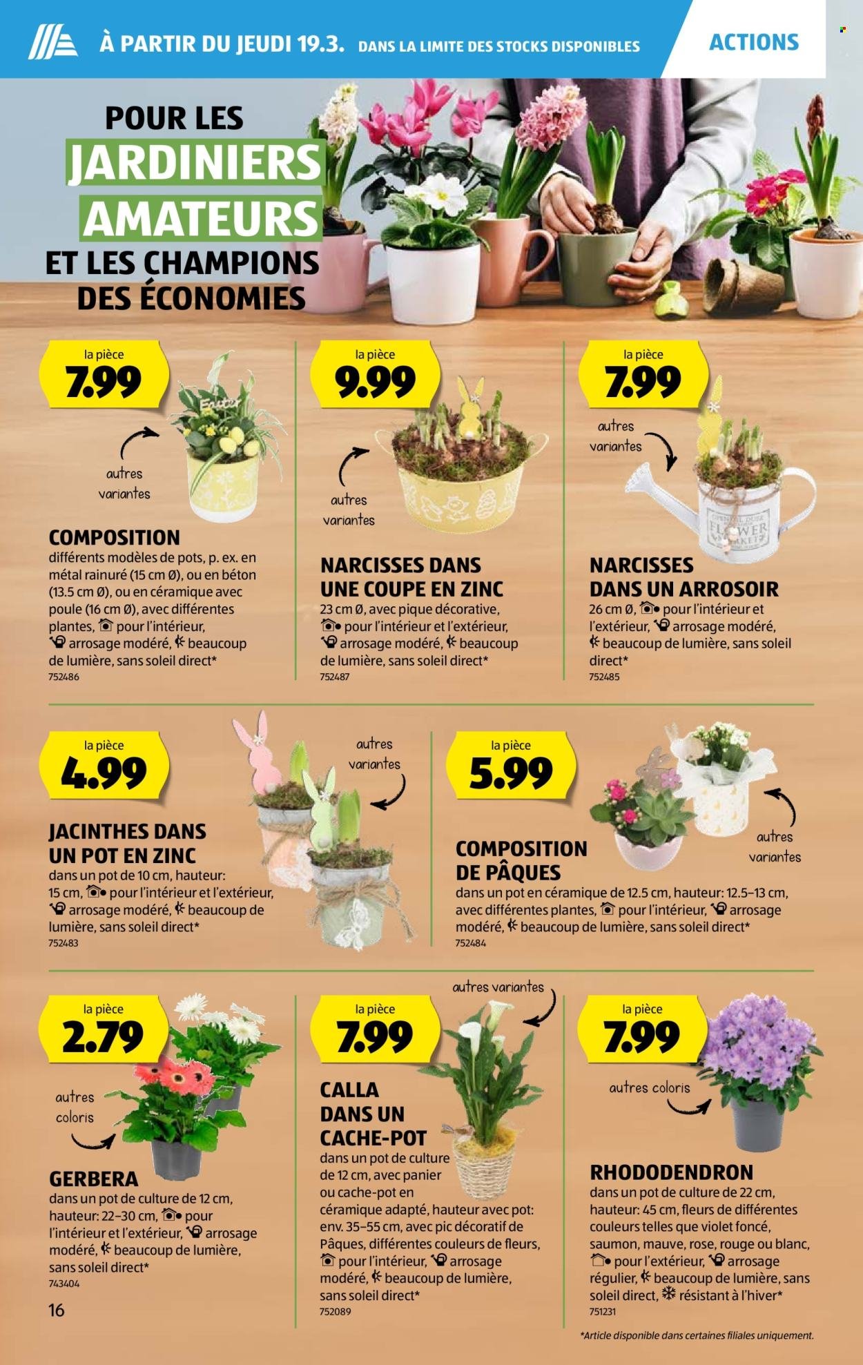 ALDI Prospekt - Vom 19.3.2026 (2026-03-19 - 2026-03-25)