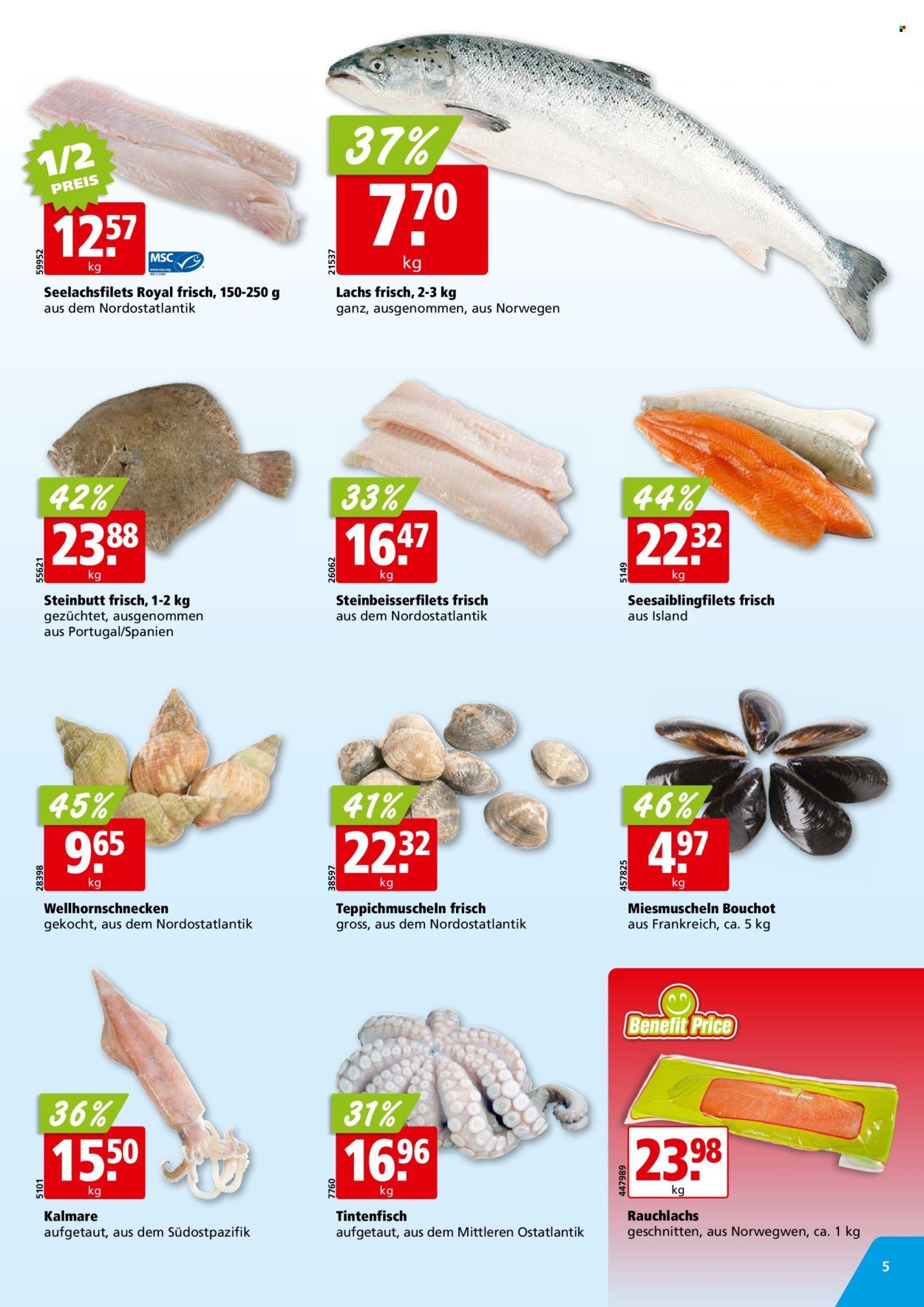 ALIGRO Prospekt - KW 33 (2025-08-11 - 2025-08-16)