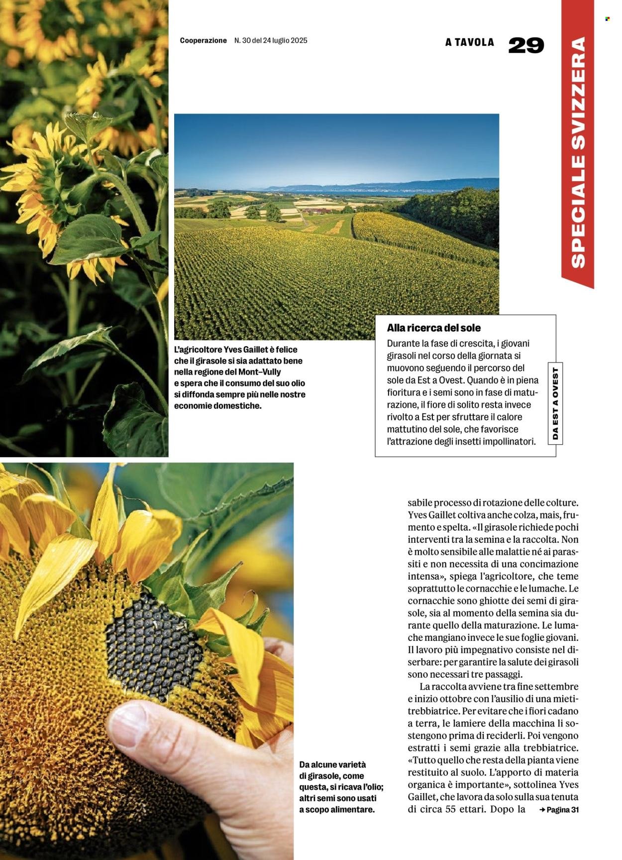COOP Prospekt - COOPERAZIONE (2025-07-24 - 2025-07-30)