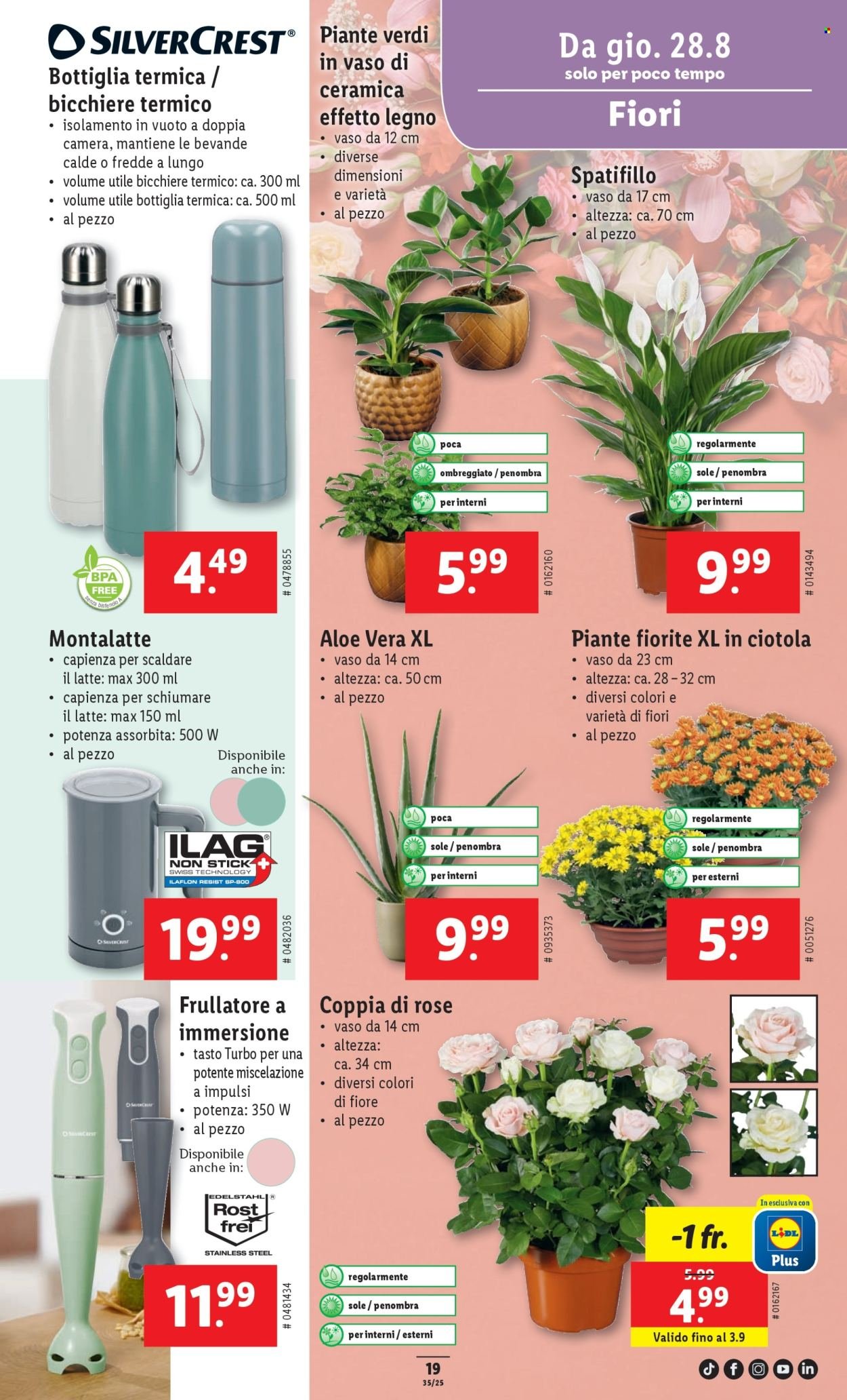 LIDL Prospekt - S 35 (2025-08-28 - 2025-09-03)