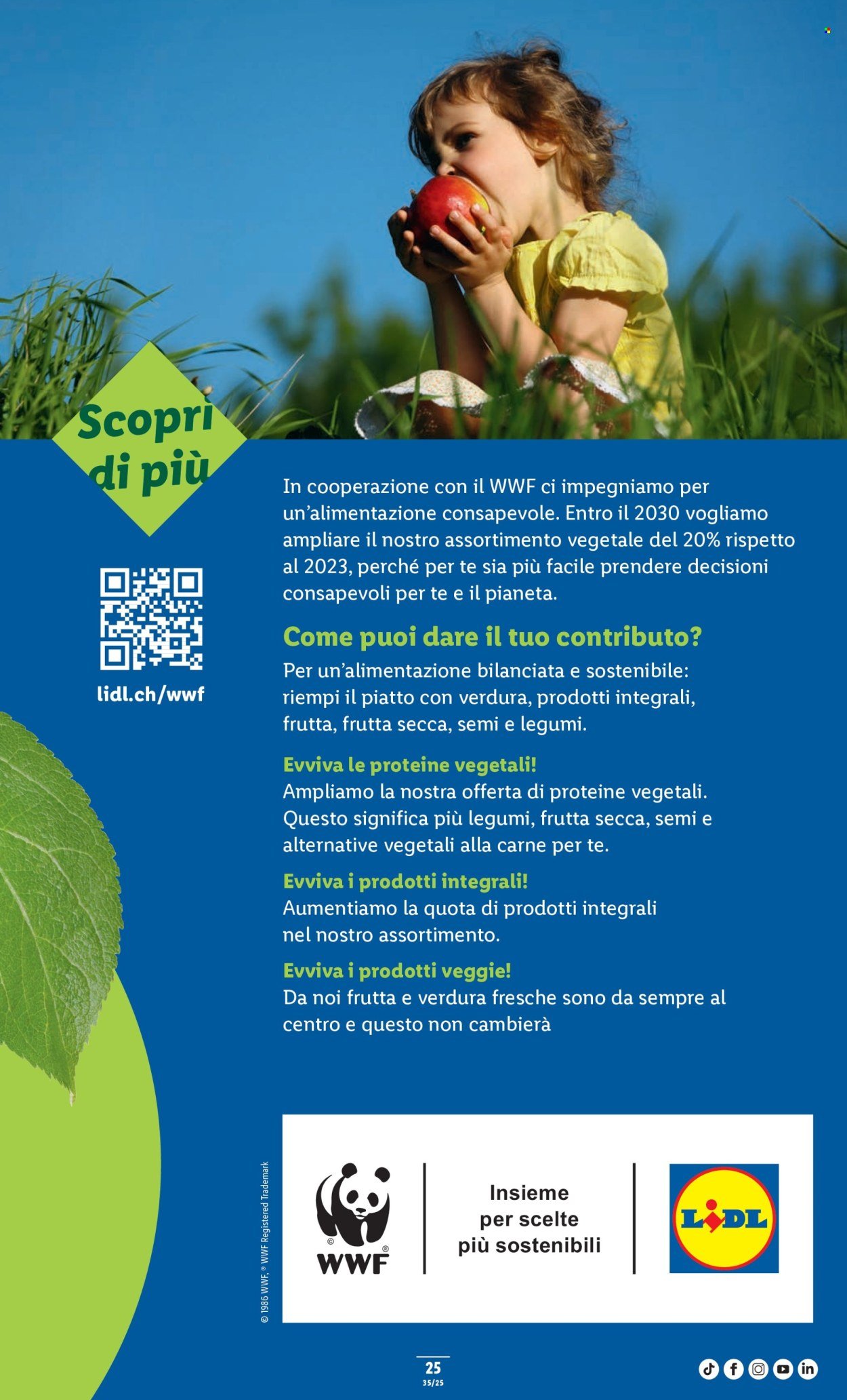 LIDL Prospekt - S 35 (2025-08-28 - 2025-09-03)