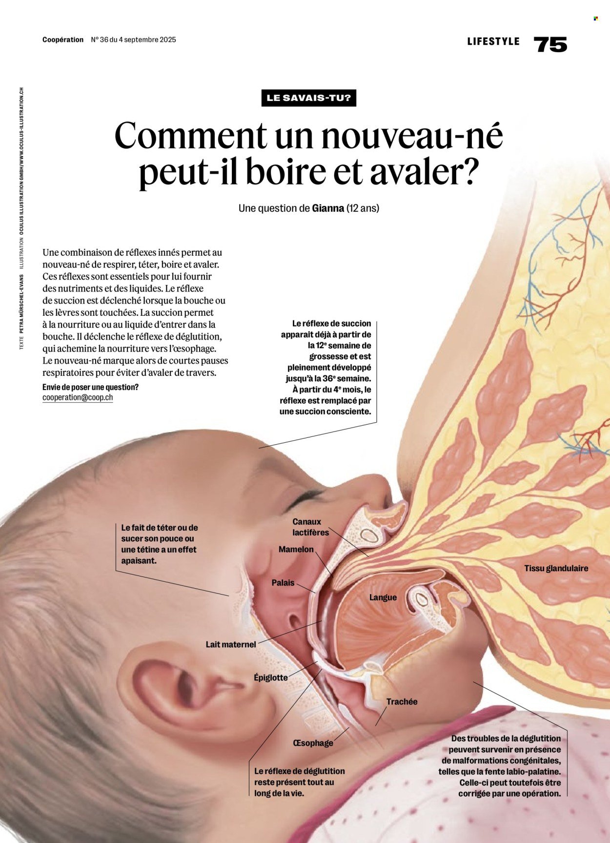 COOP Prospekt - COOPÉRATION (2025-09-04 - 2025-09-10)