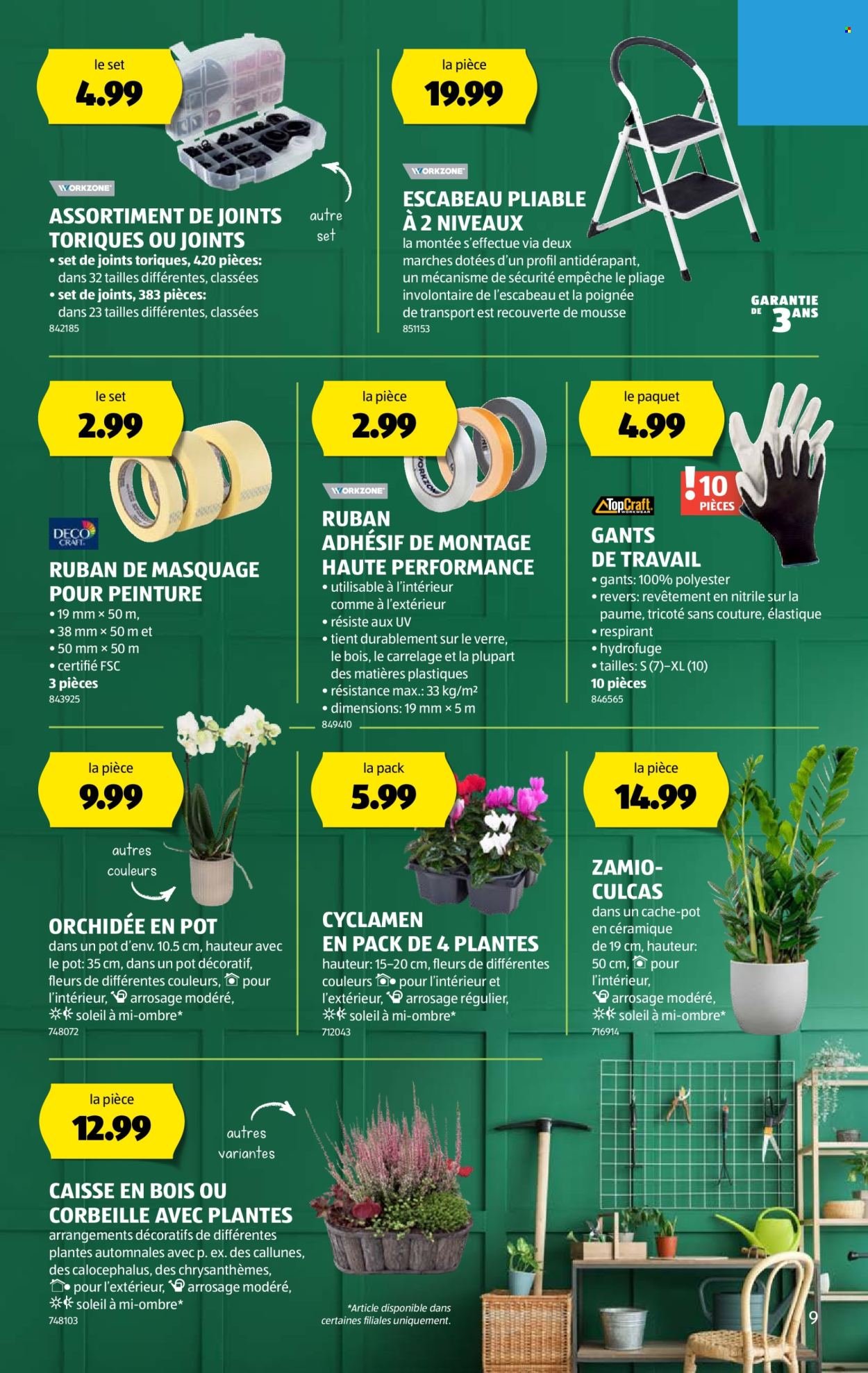 ALDI Prospekt - Vom 25.9.2025 (2025-09-25 - 2025-10-01)