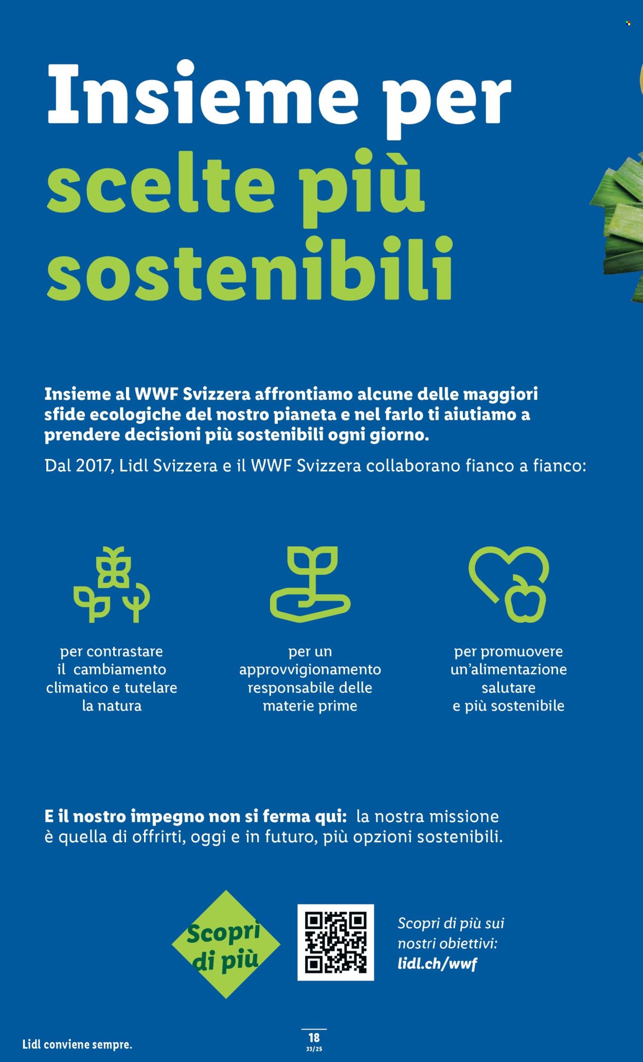 LIDL Prospekt - S 33 (2025-08-14 - 2025-08-20)