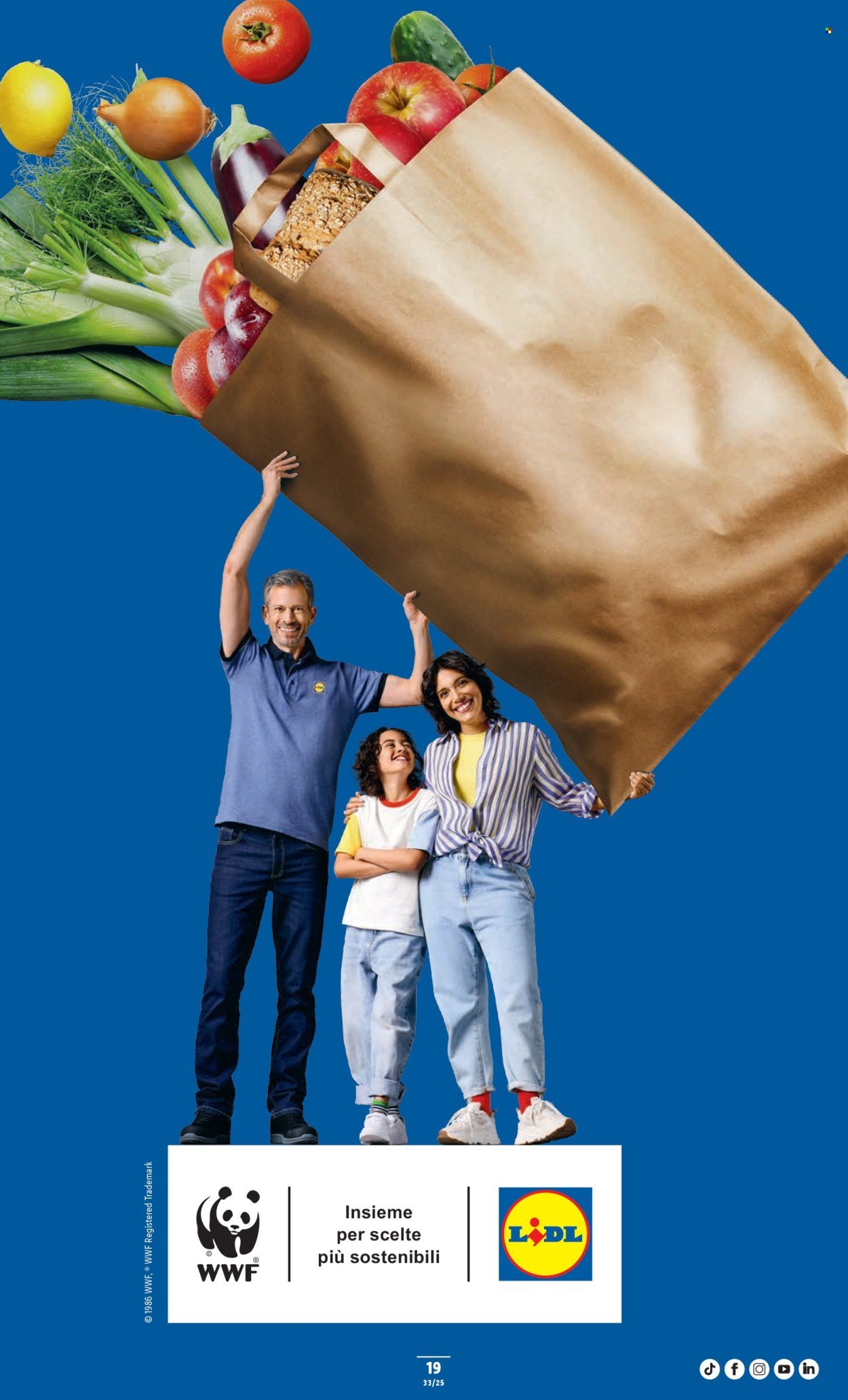 LIDL Prospekt - S 33 (2025-08-14 - 2025-08-20)