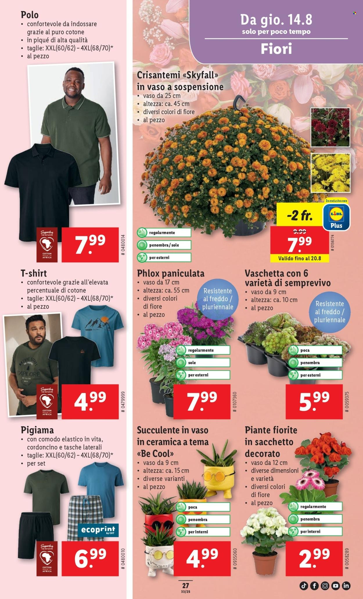 LIDL Prospekt - S 33 (2025-08-14 - 2025-08-20)
