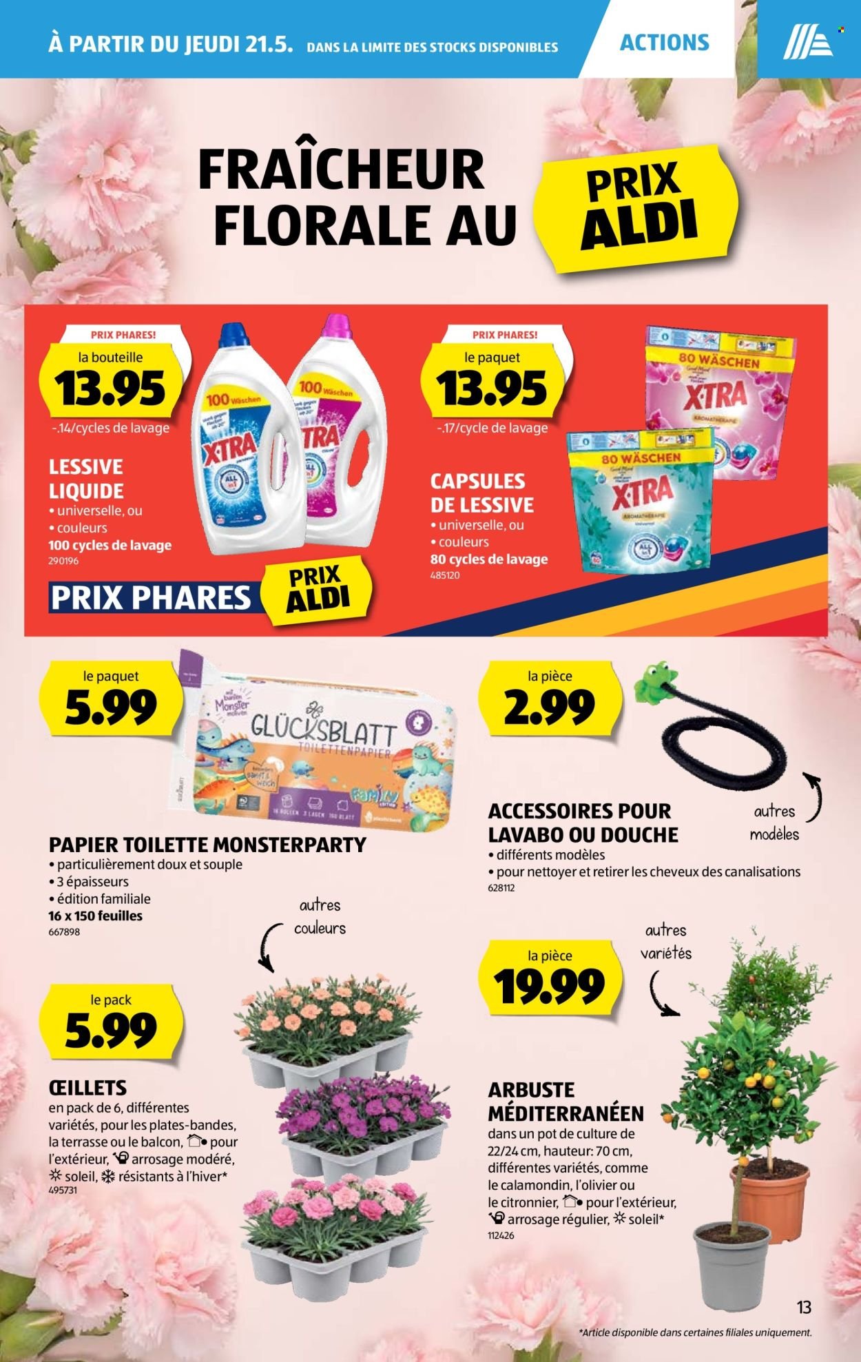 ALDI Prospekt - Vom 21.5.2026 (2026-05-21 - 2026-05-27) | 13