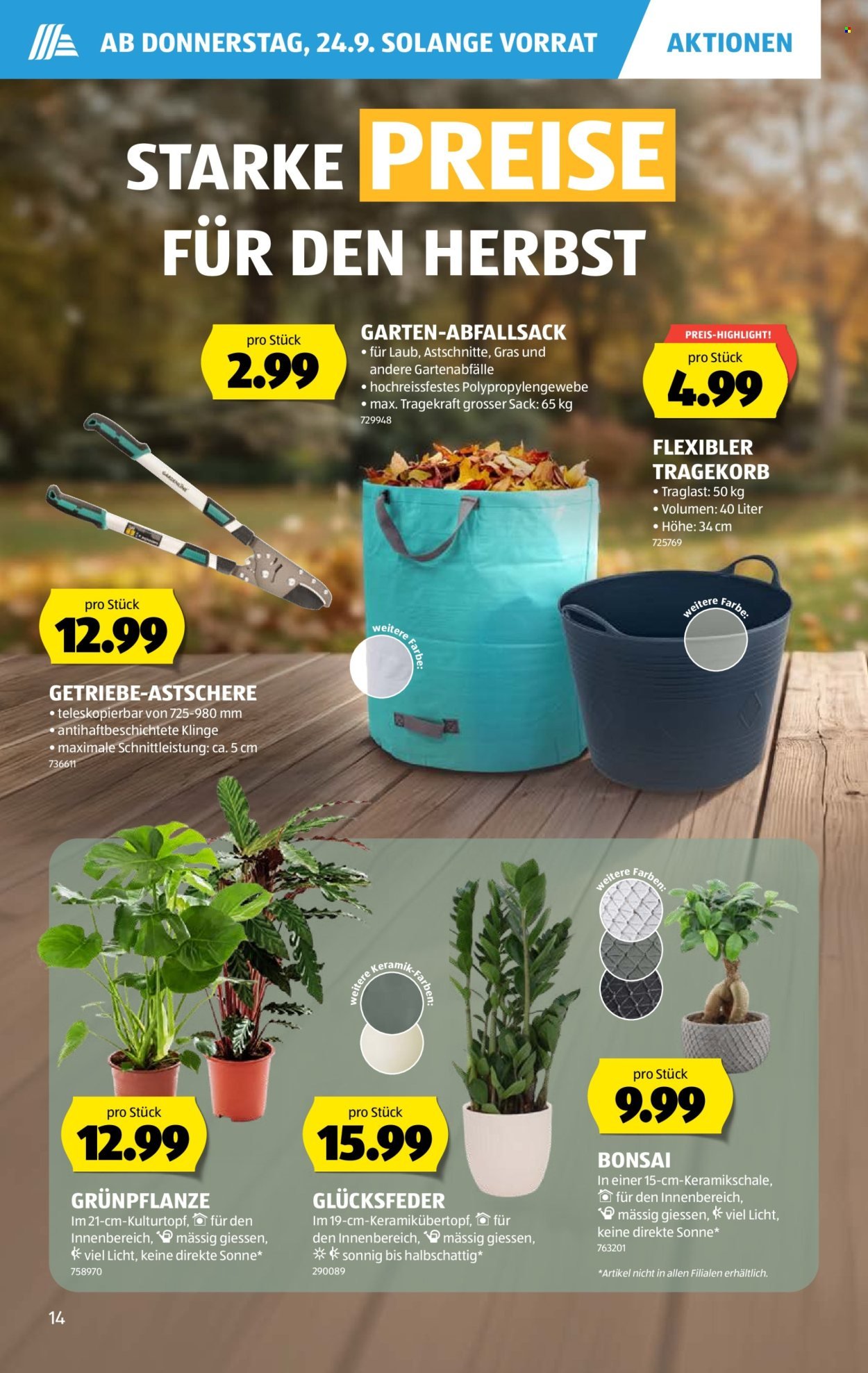 ALDI Prospekt - Vom 24.9.2026