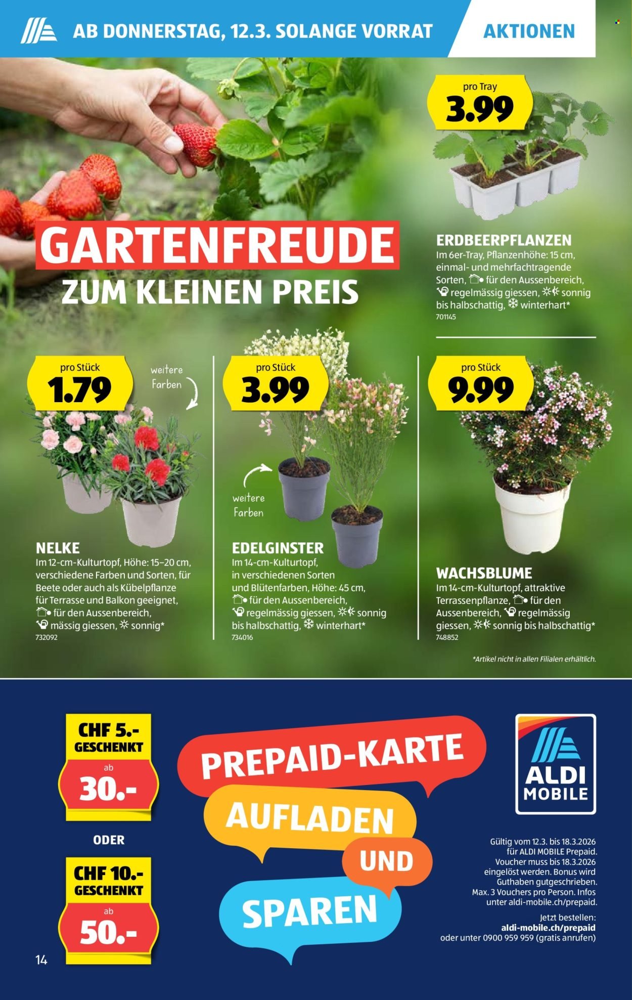 ALDI Prospekt - Vom 12.3.2026 (2026-03-12 - 2026-03-18)