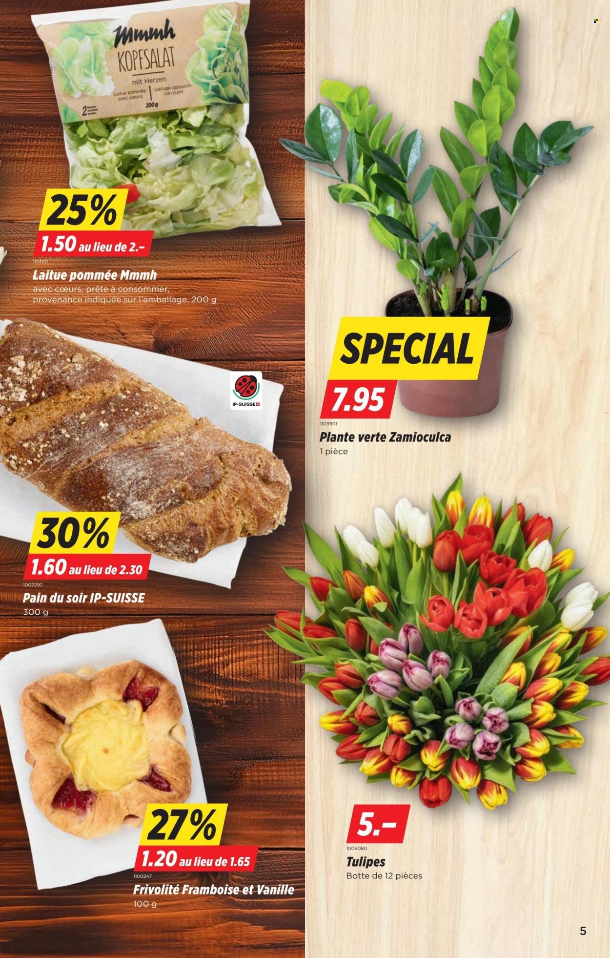 DENNER Prospekt - SETT15 (2026-04-09 - 2026-04-15)