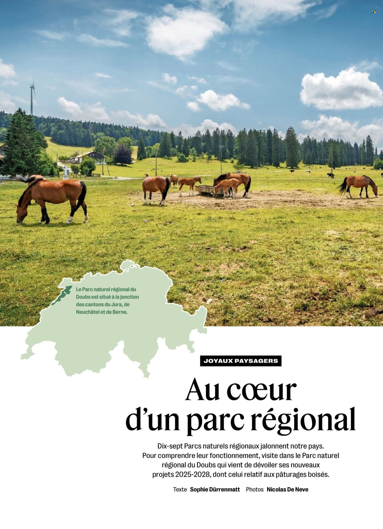 COOP Prospekt - COOPÉRATION (2025-07-17 - 2025-07-23)