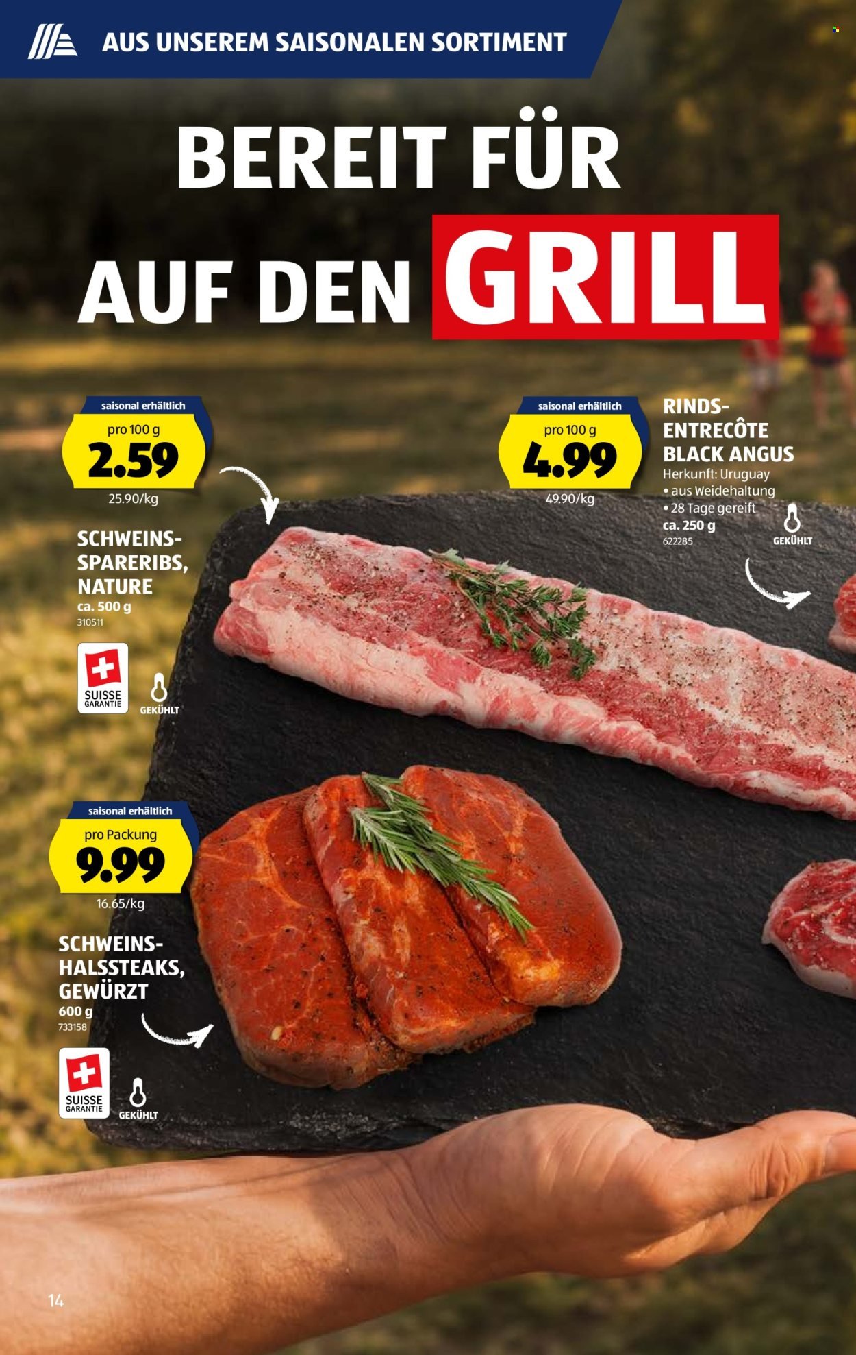 ALDI Prospekt - Vom 11.6.2026