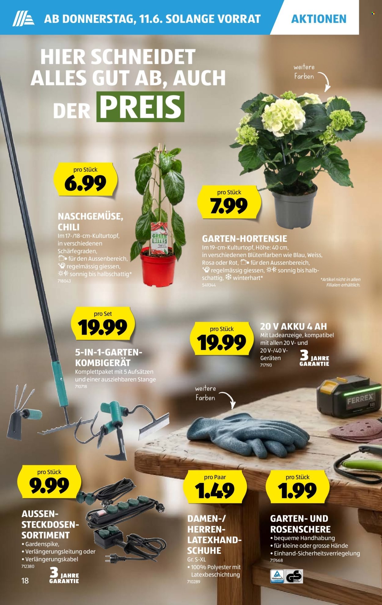 ALDI Prospekt - Vom 11.6.2026