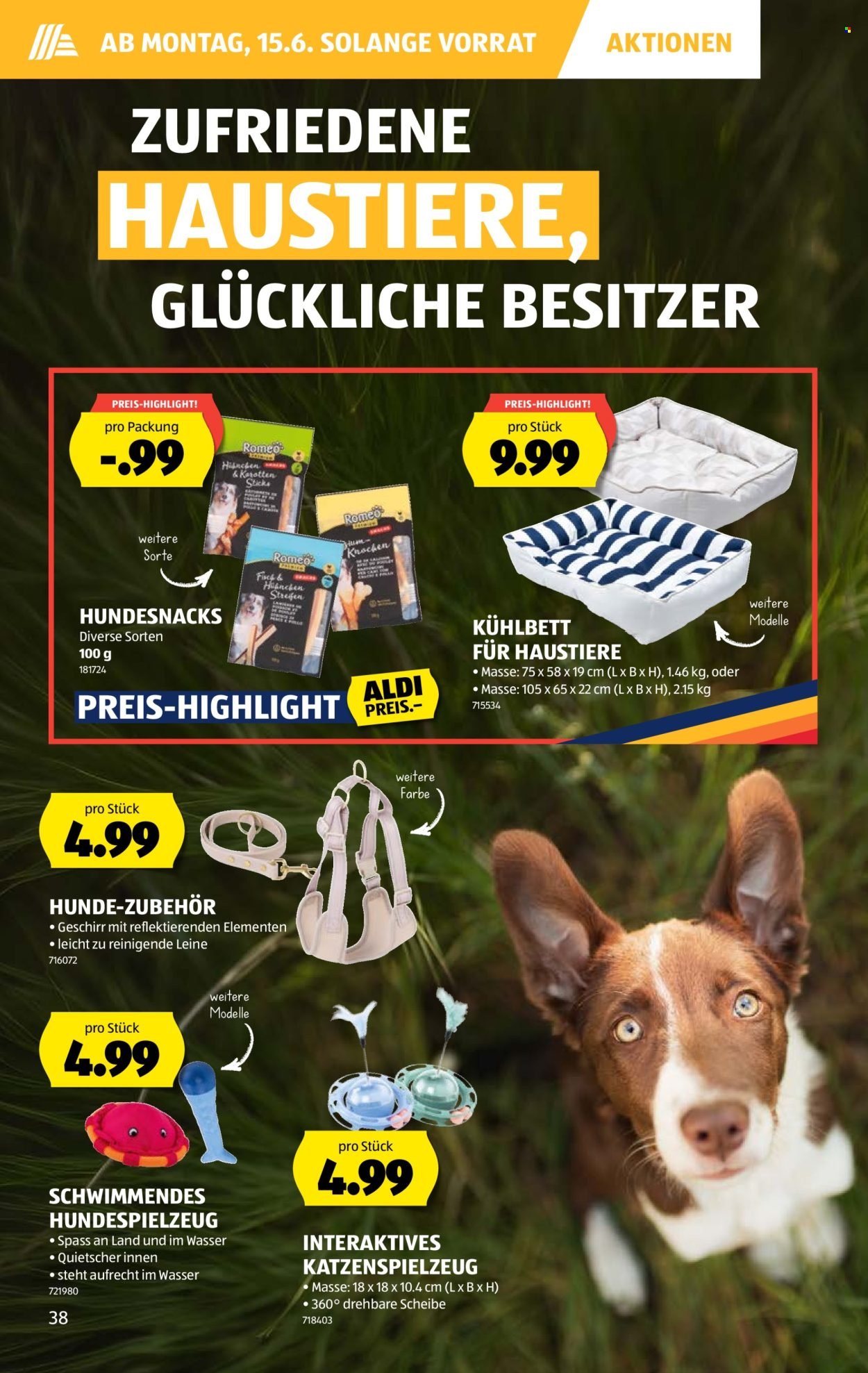 ALDI Prospekt - Vom 11.6.2026