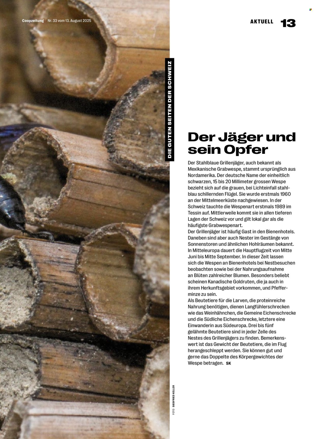 COOP Prospekt - COOPZEITUNG (2025-08-14 - 2025-08-20)