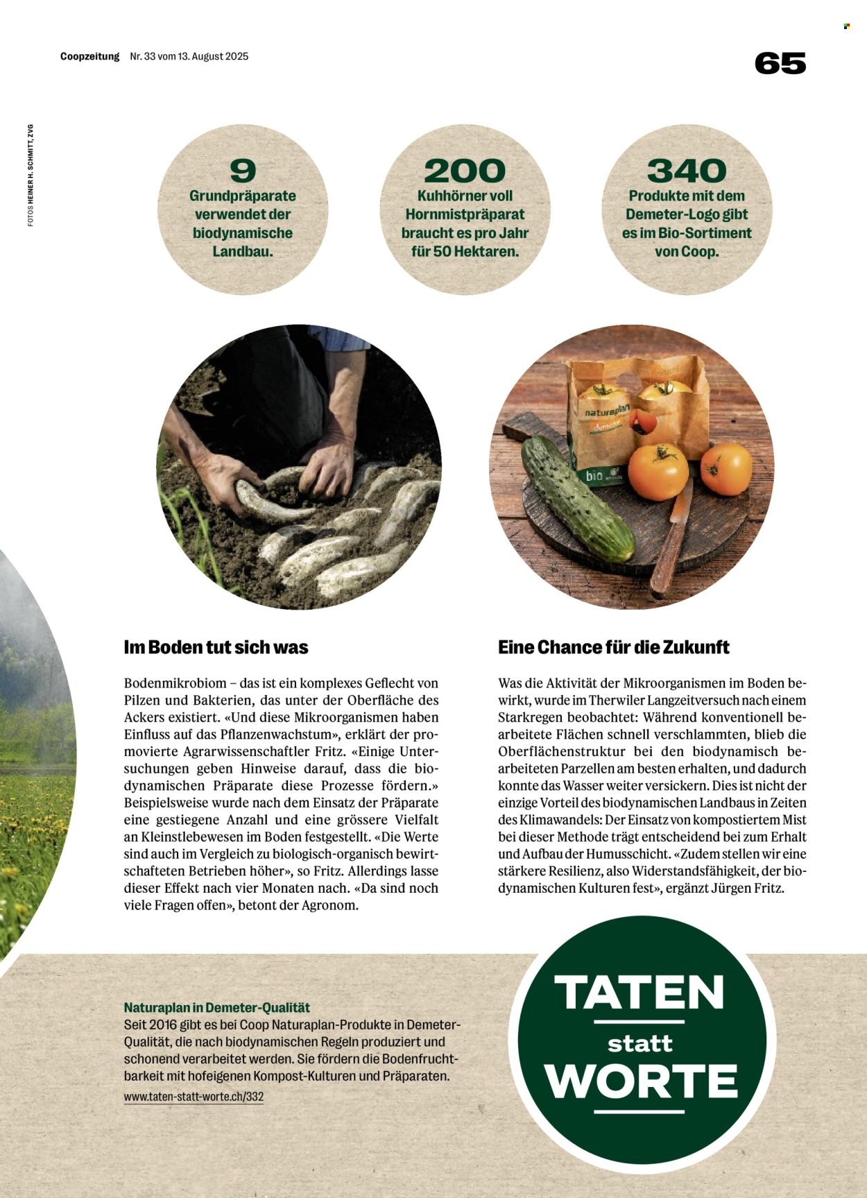 COOP Prospekt - COOPZEITUNG (2025-08-14 - 2025-08-20)