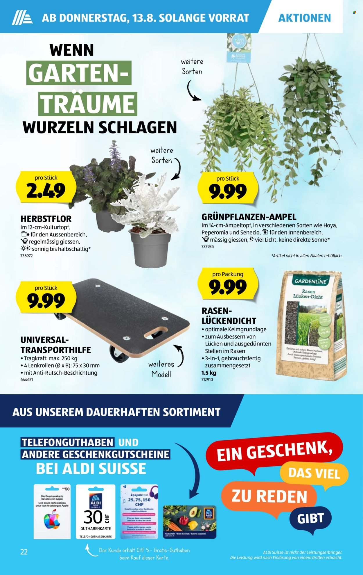 ALDI Prospekt - Vom 13.8.2026