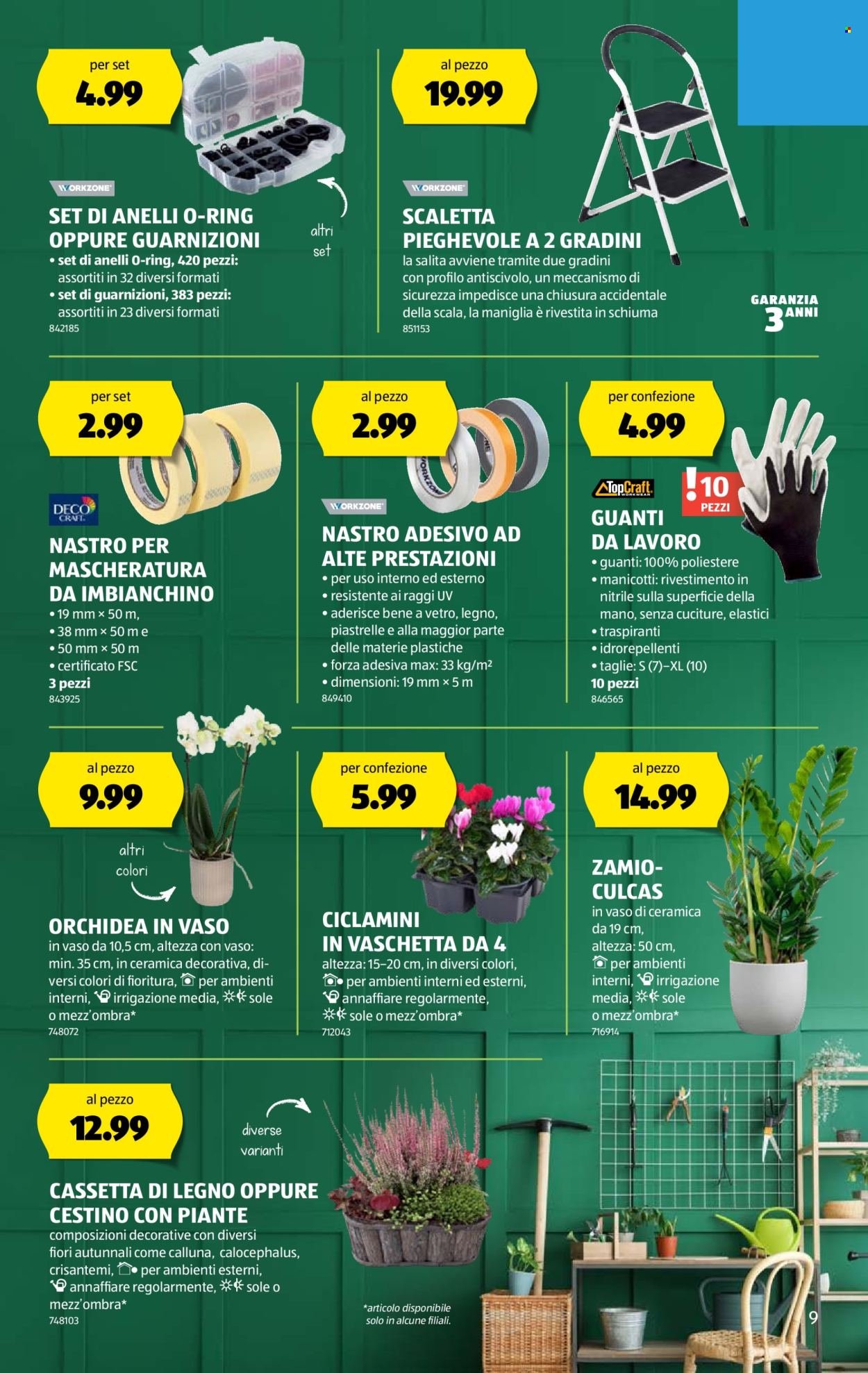 ALDI Prospekt - Vom 25.9.2025 (2025-09-25 - 2025-10-01)