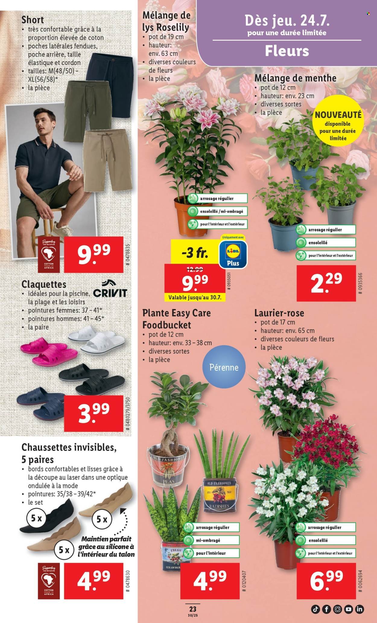 LIDL Prospekt - SEM 30 (2025-07-24 - 2025-07-30)