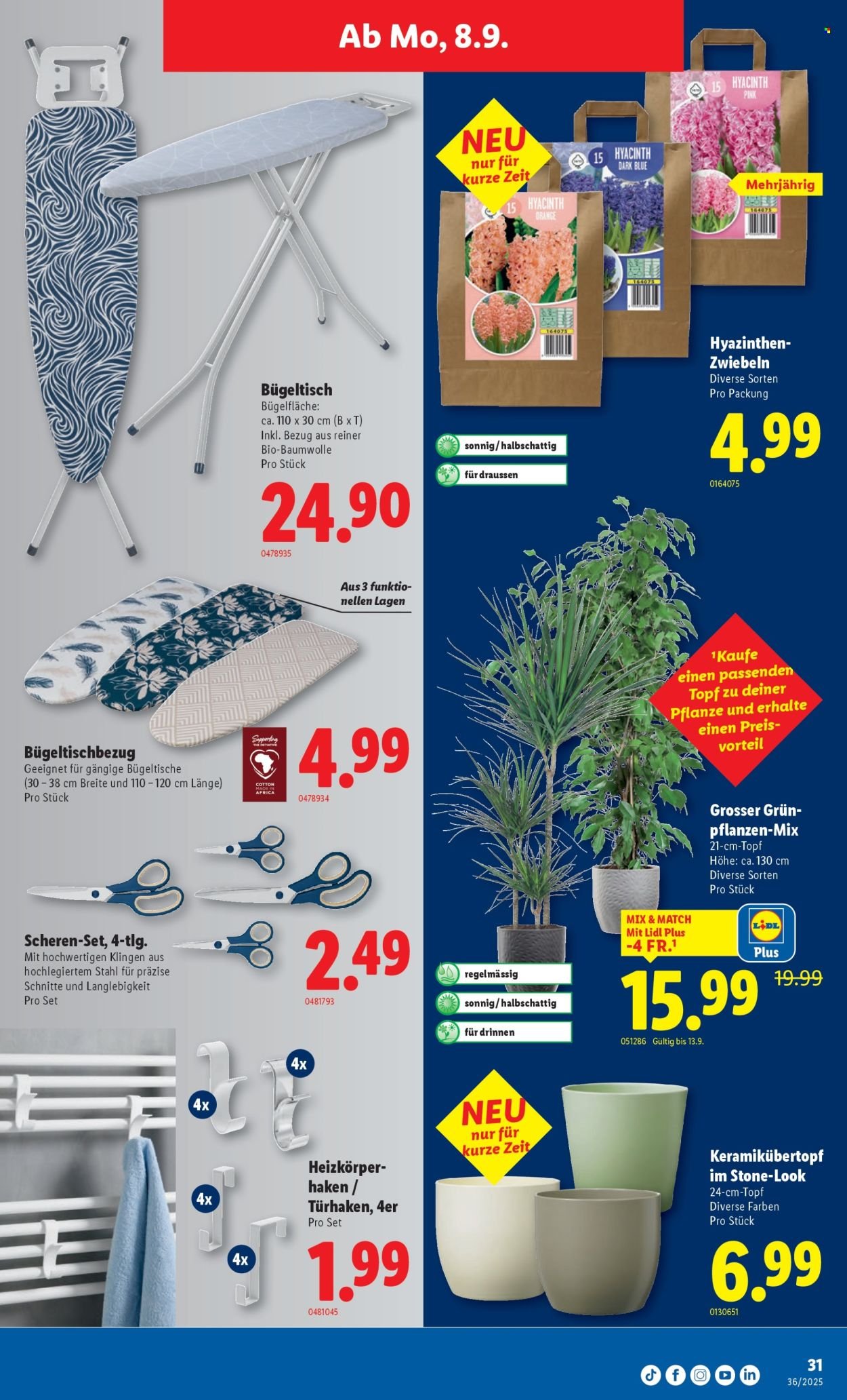 LIDL Prospekt - KW 36 (2025-09-04 - 2025-09-10)
