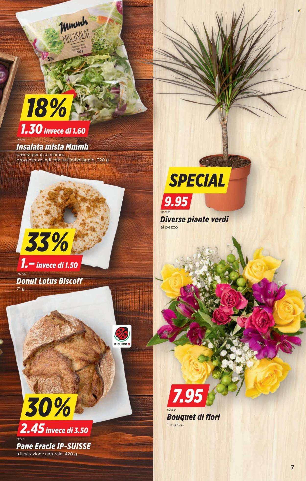 DENNER Prospekt - SETT42