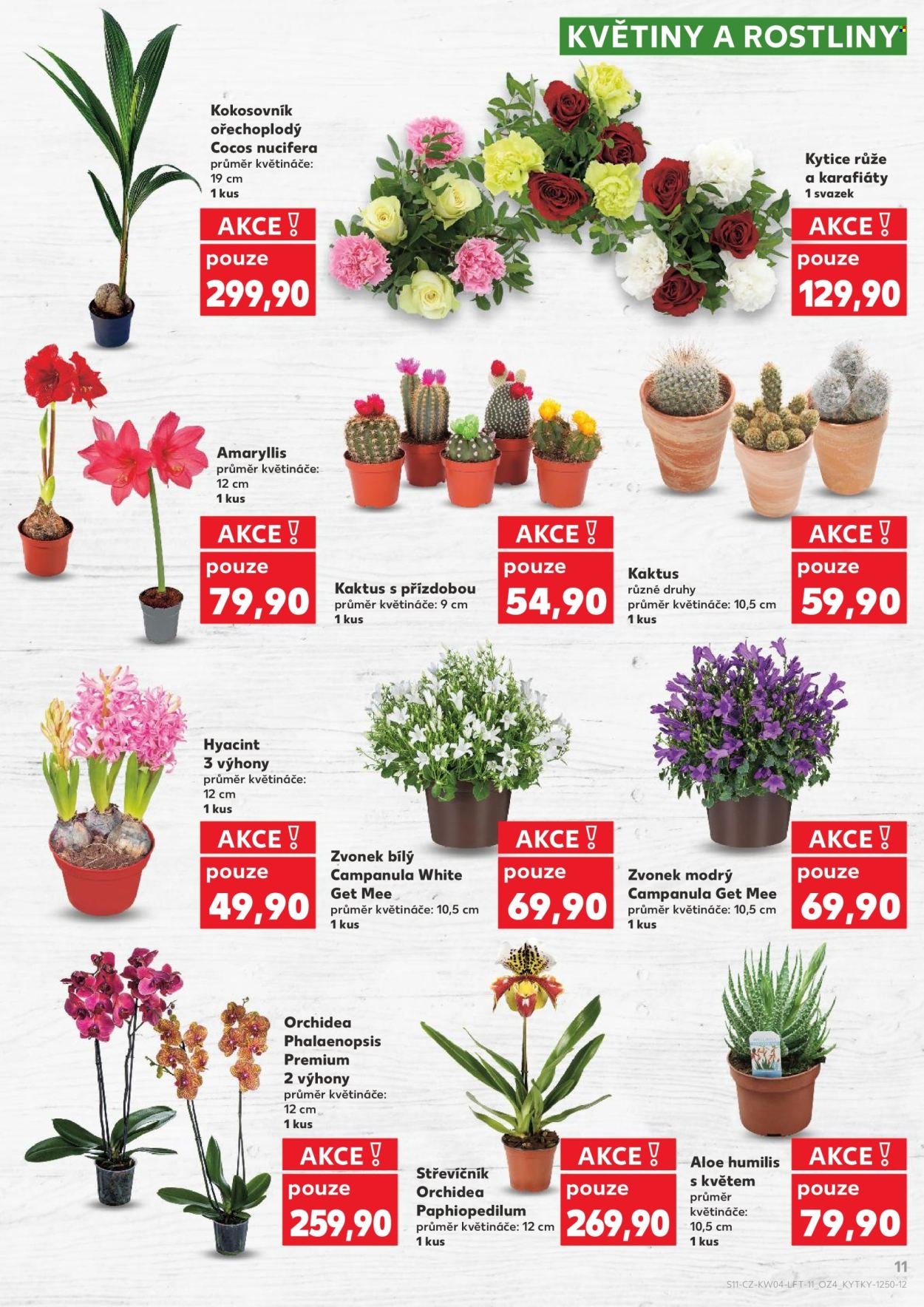 KAUFLAND leták - Od středy 21.1.2026 (2026-01-21 - 2026-01-27)