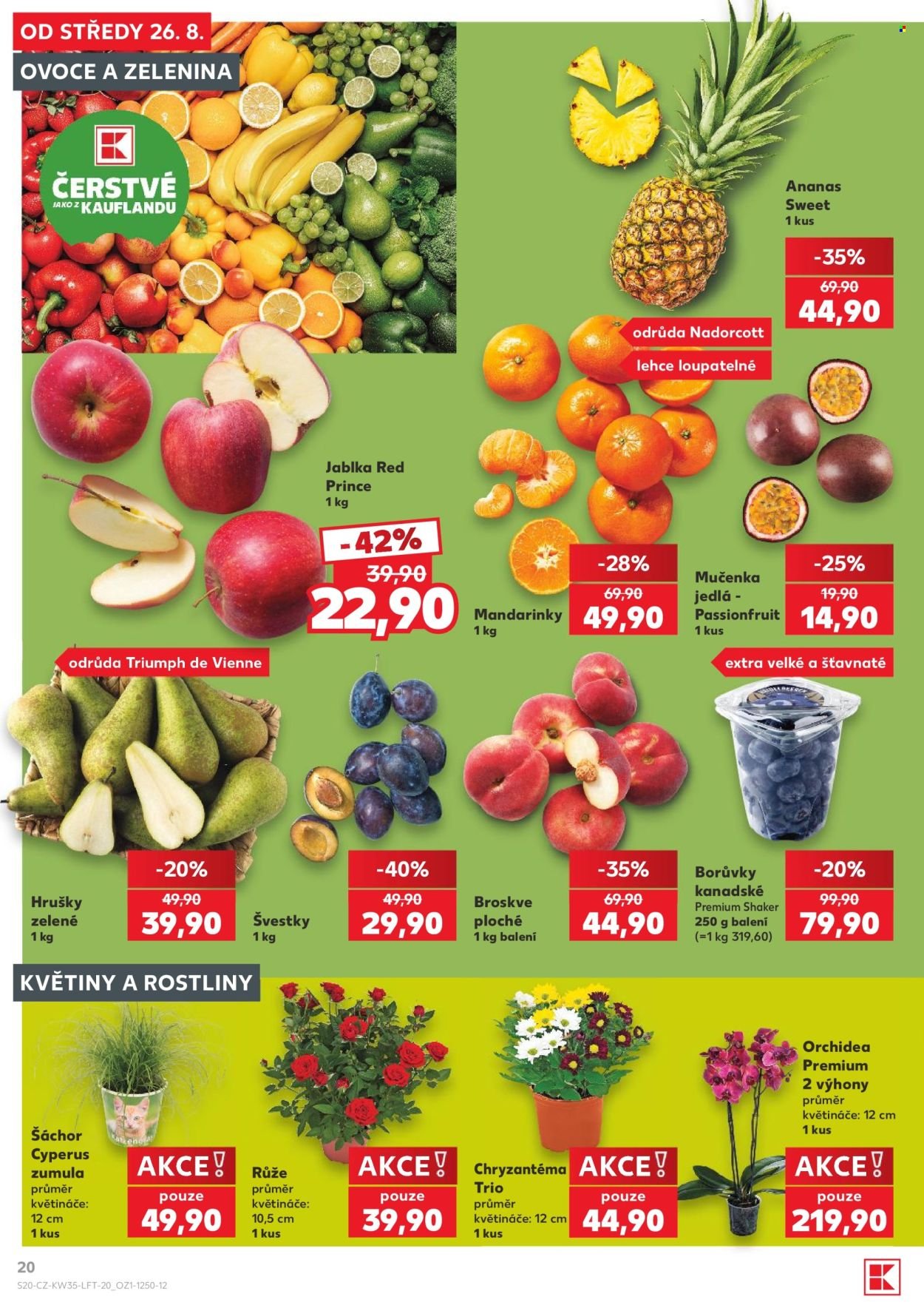 KAUFLAND leták - Od středy 26.8.2026