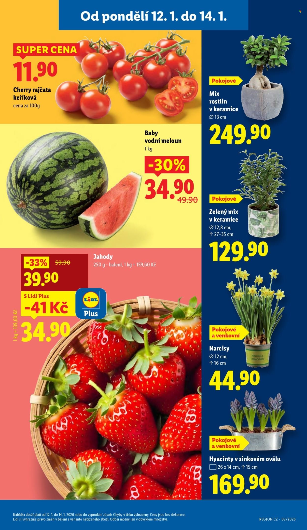 LIDL leták - Od pondělí 12.1.2026 (2026-01-12 - 2026-01-14)