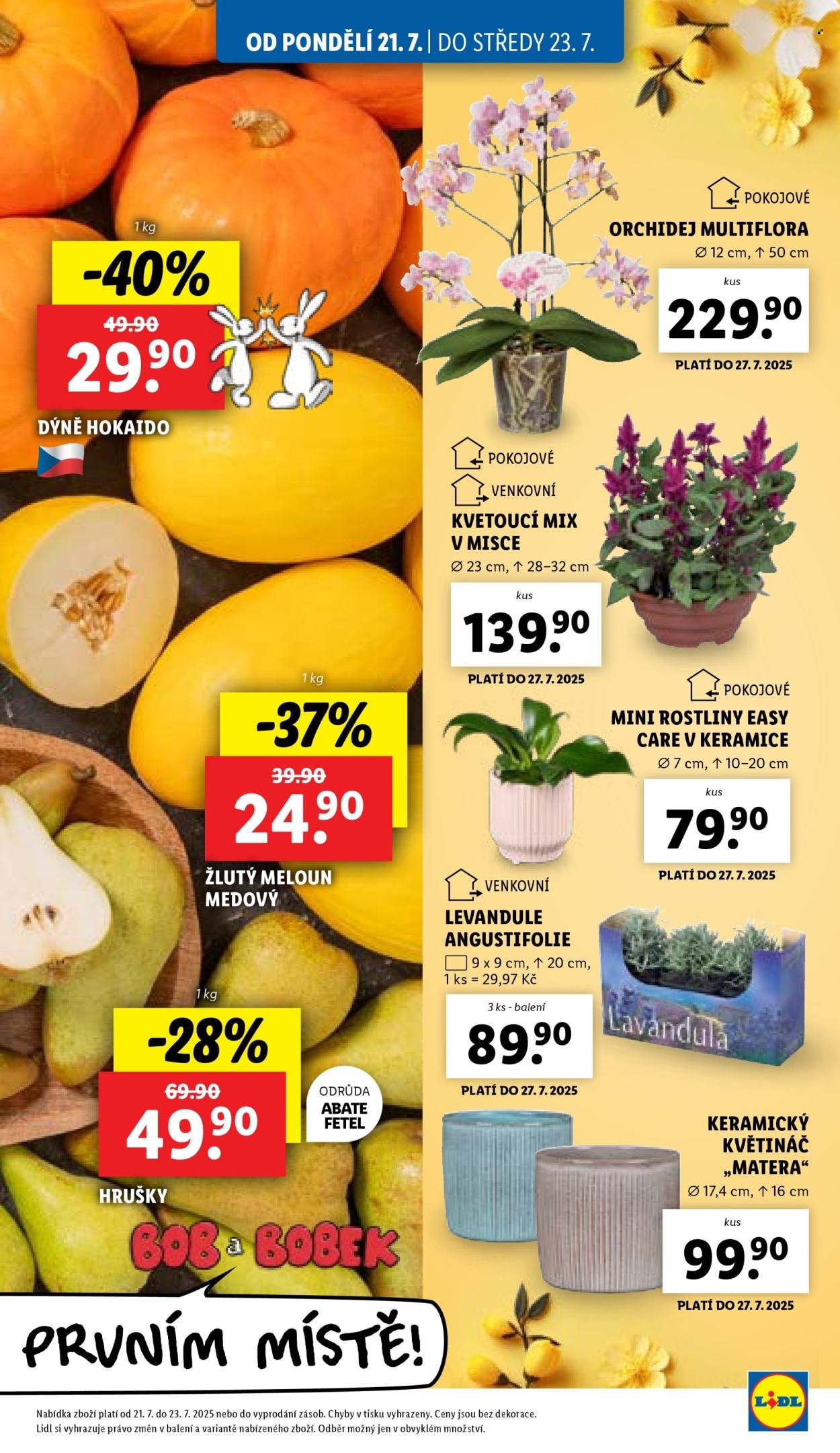 LIDL leták - Od pondělí 21.7.2025 (2025-07-21 - 2025-07-27)