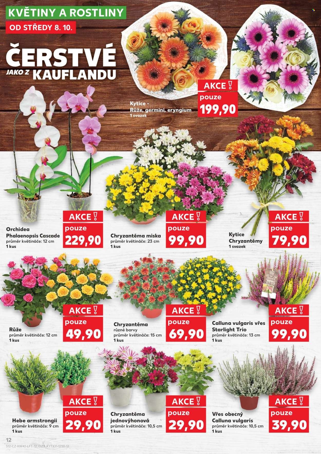 KAUFLAND leták - Od středy 8.10.2025 (2025-10-08 - 2025-10-14)
