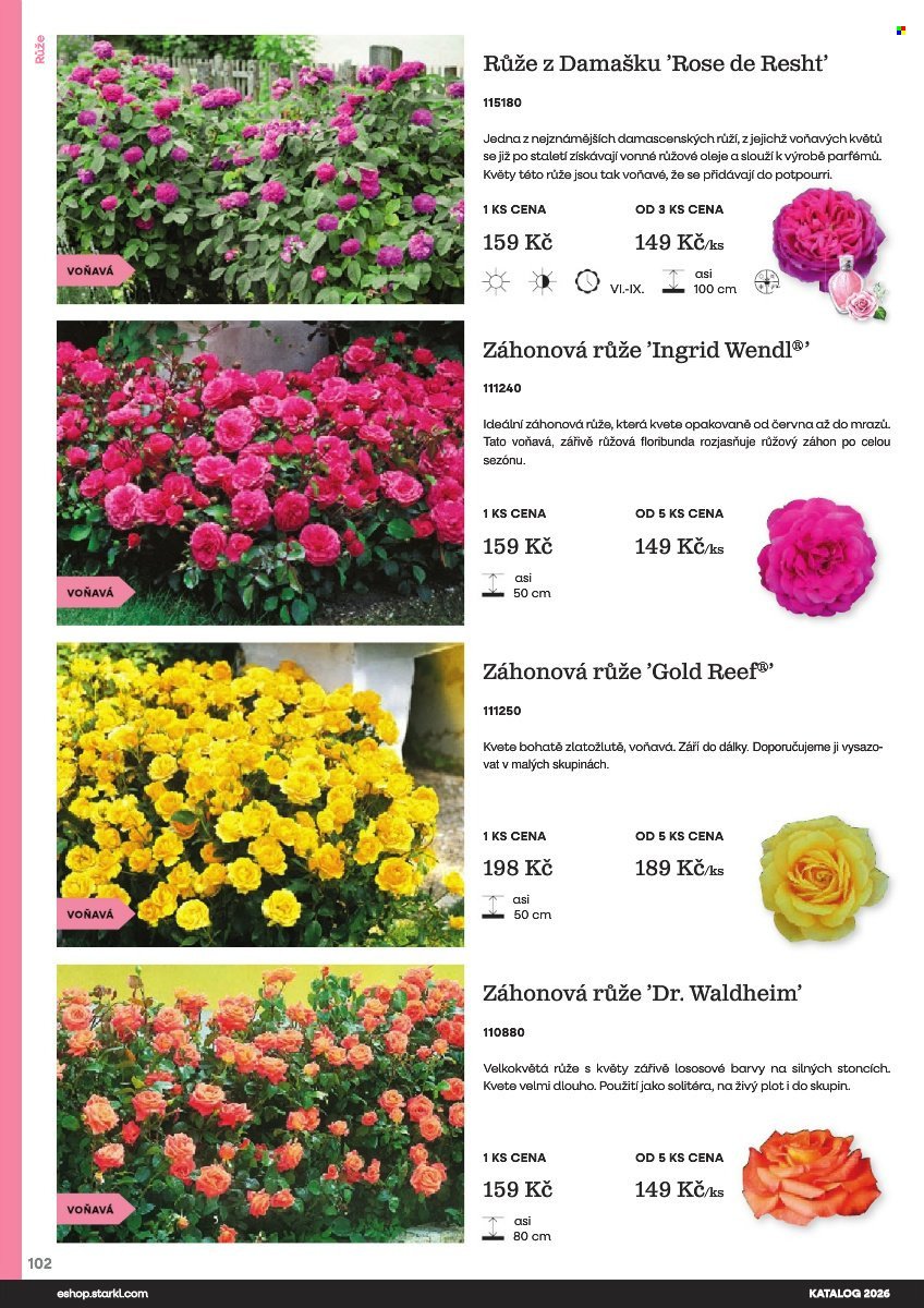 STARKL leták - Starkl (2026-02-25)