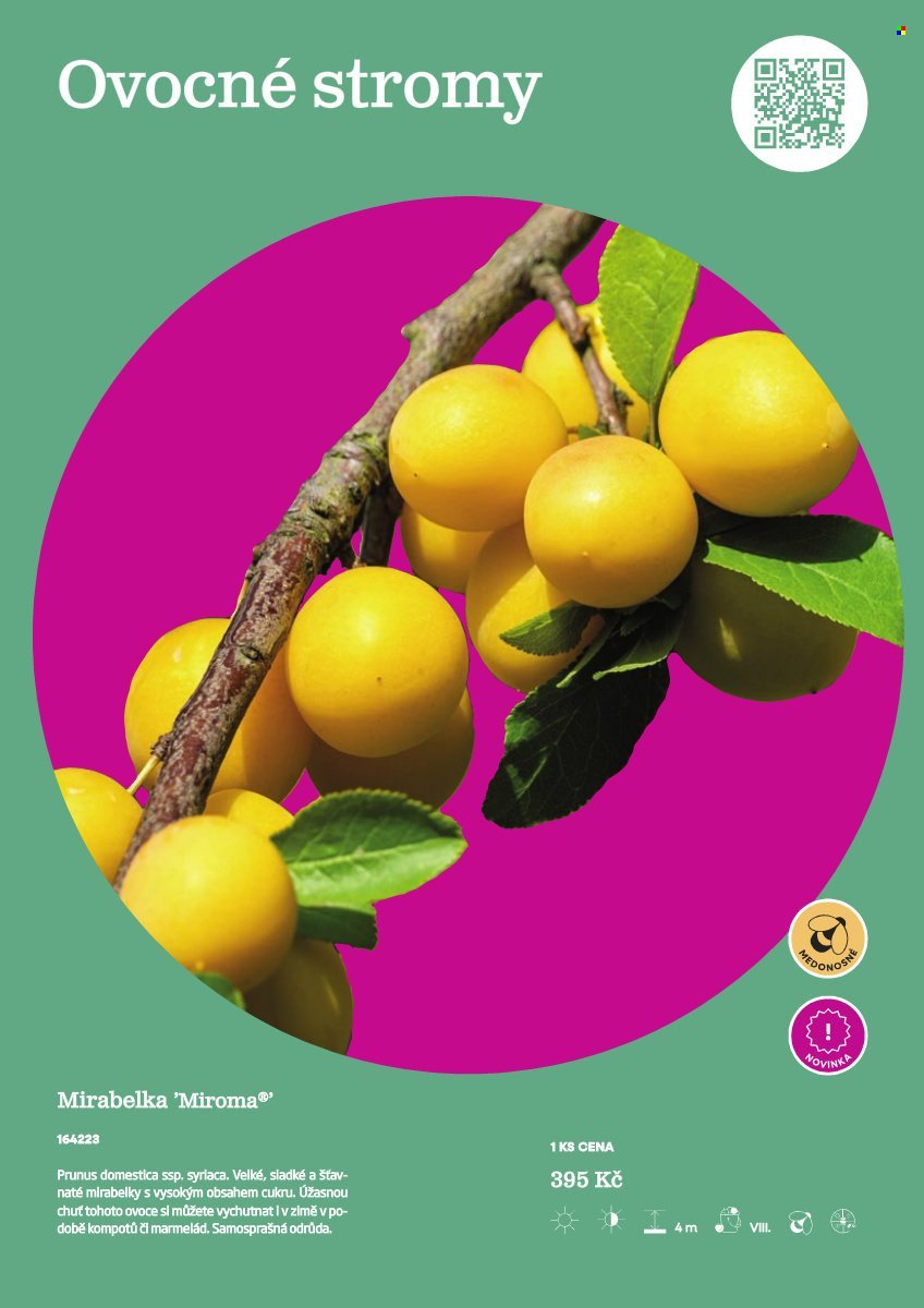 STARKL leták - Starkl (2026-02-25)