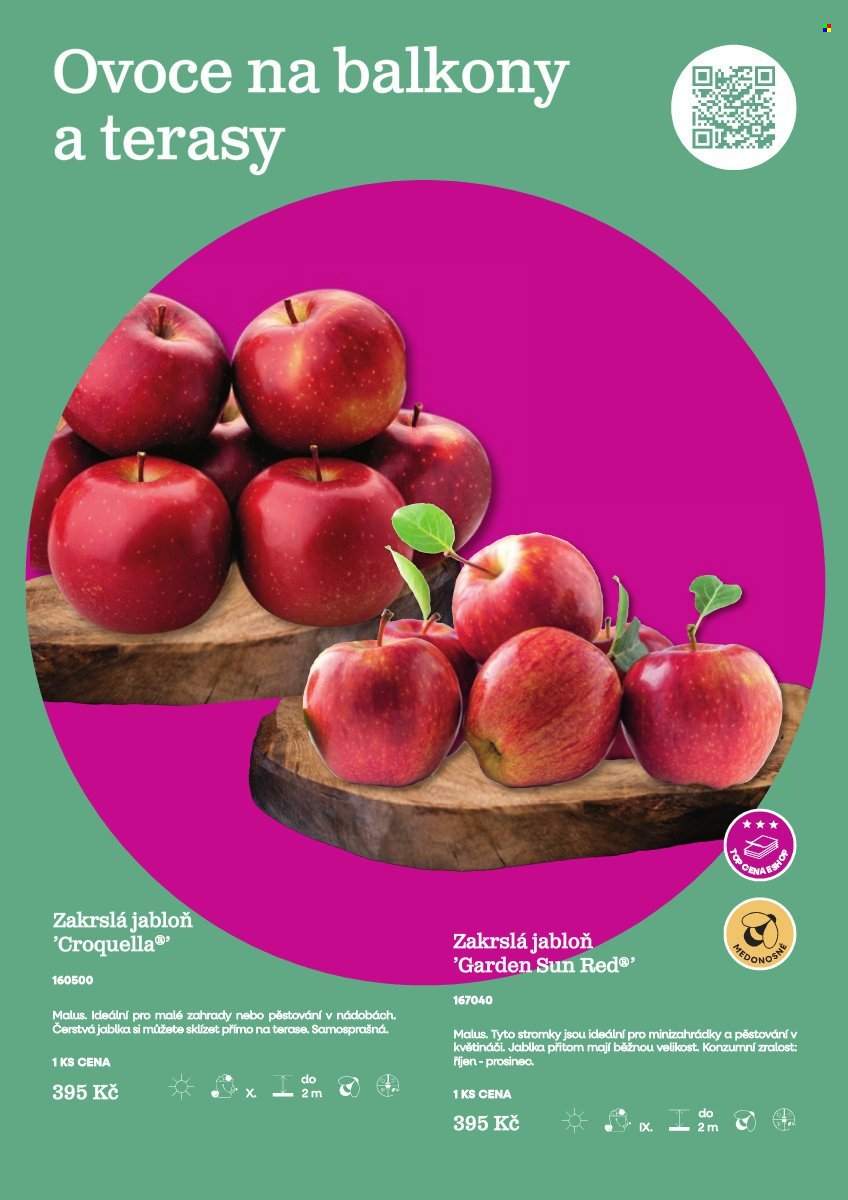 STARKL leták - Starkl (2026-02-25)