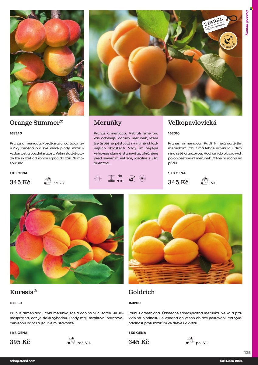 STARKL leták - Starkl (2026-02-25)