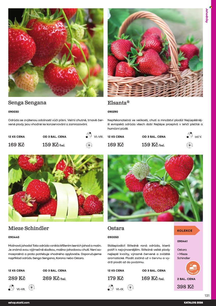 STARKL leták - Starkl (2026-02-25)