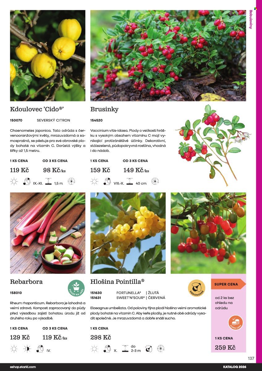 STARKL leták - Starkl (2026-02-25)