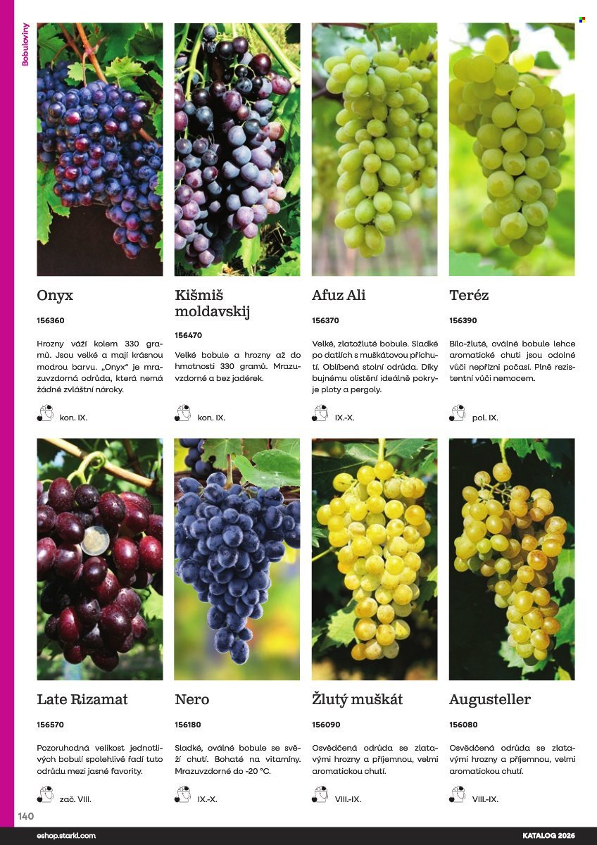 STARKL leták - Starkl (2026-02-25)