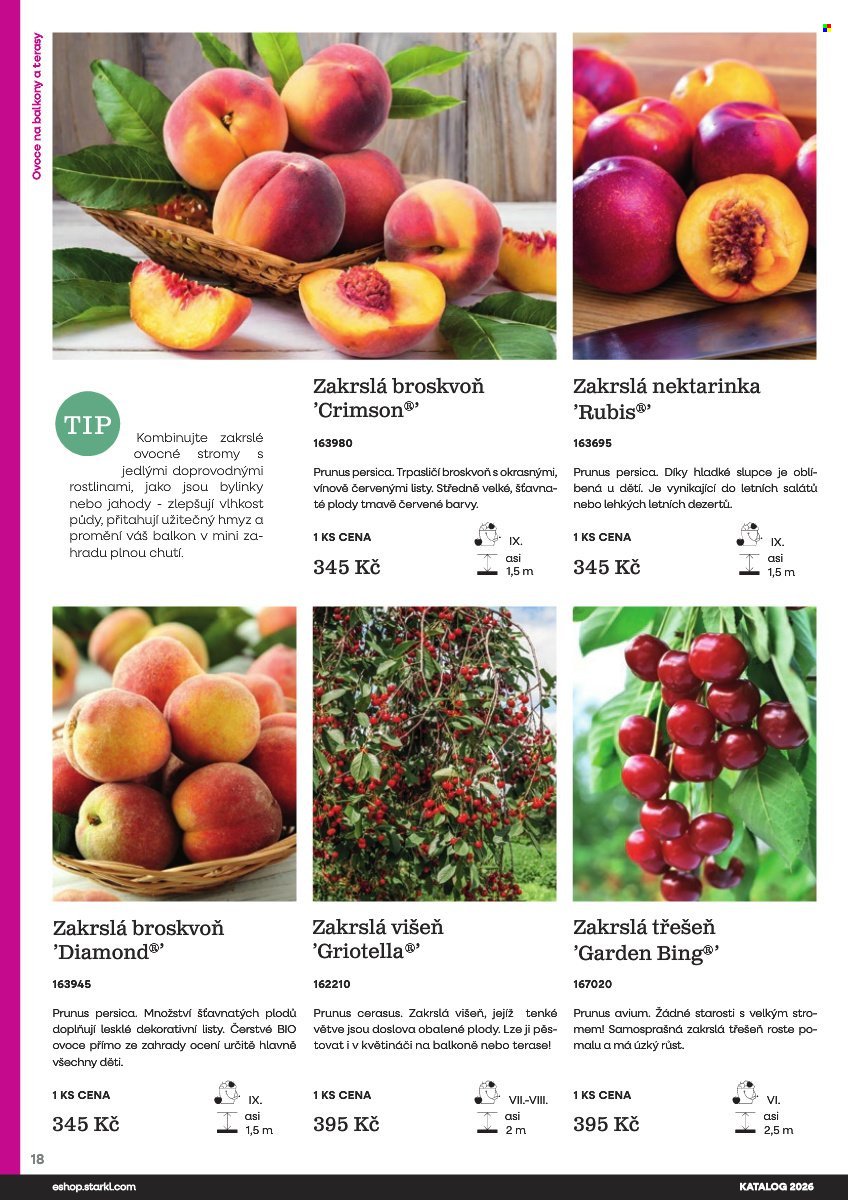 STARKL leták - Starkl (2026-02-25)