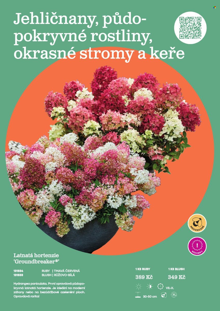 STARKL leták - Starkl (2026-02-25)