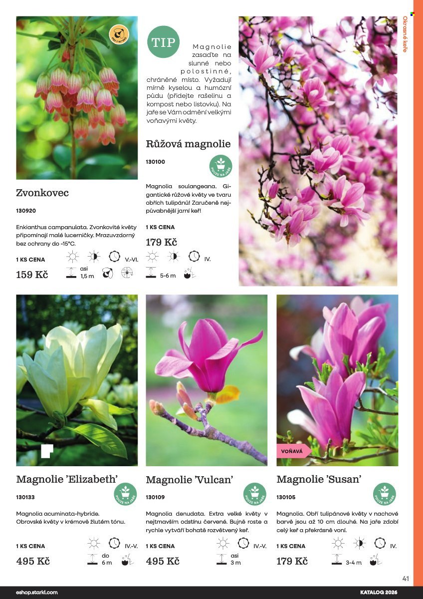 STARKL leták - Starkl (2026-02-25)