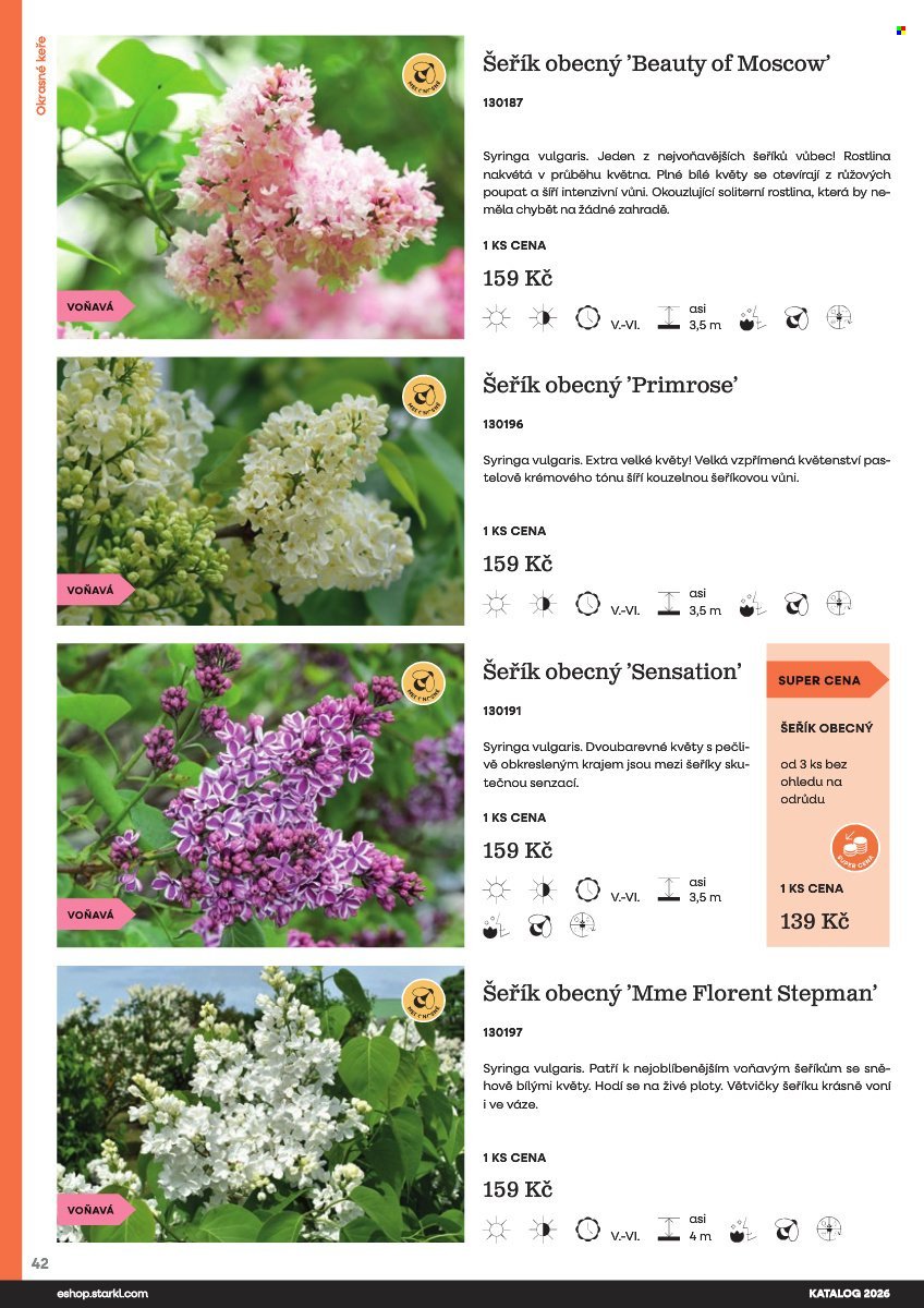 STARKL leták - Starkl (2026-02-25)