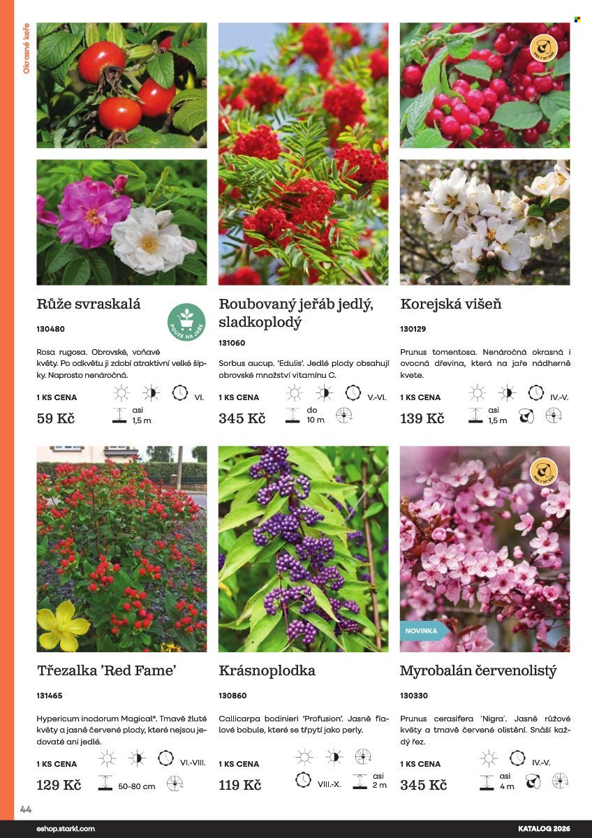 STARKL leták - Starkl (2026-02-25)