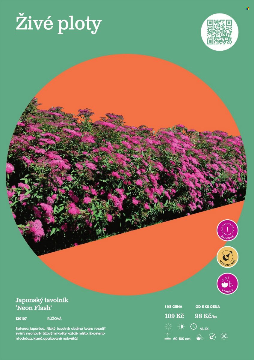 STARKL leták - Starkl (2026-02-25)