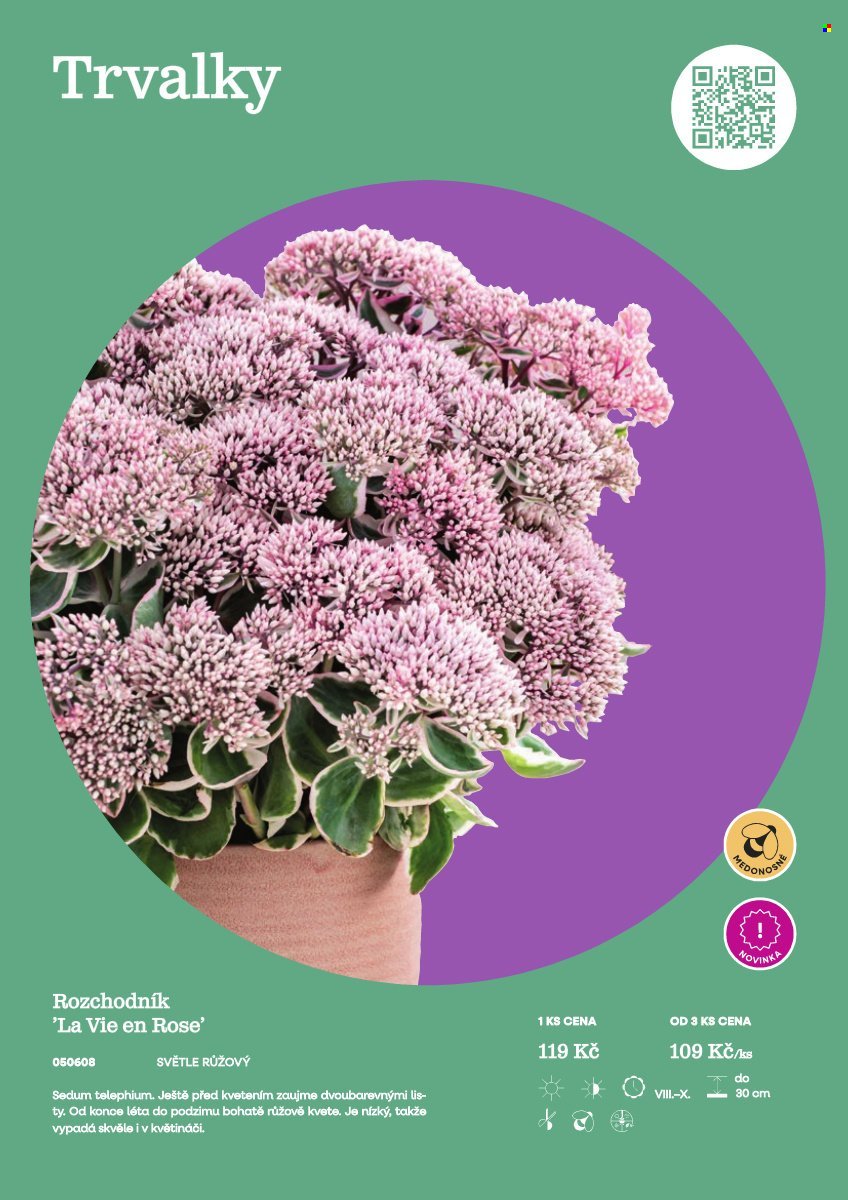 STARKL leták - Starkl (2026-02-25)