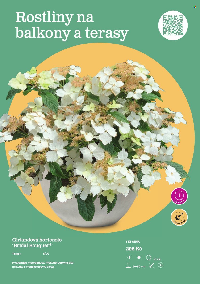 STARKL leták - Starkl (2026-02-25)