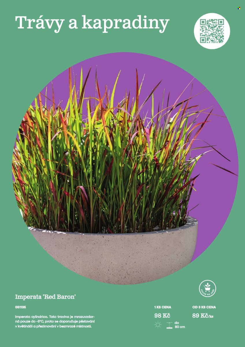 STARKL leták - Starkl (2026-02-25)